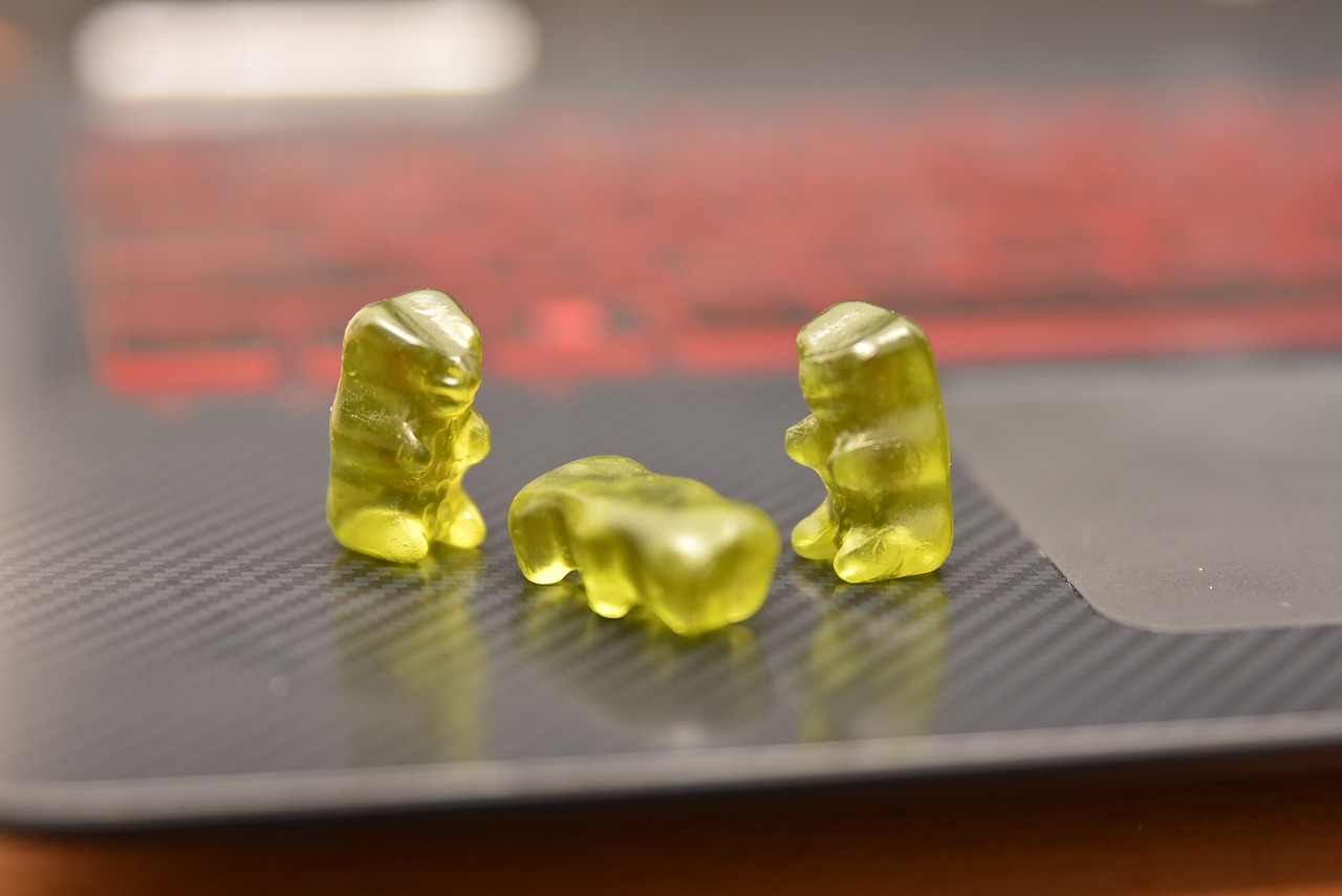 gummybear lappy candy free photo