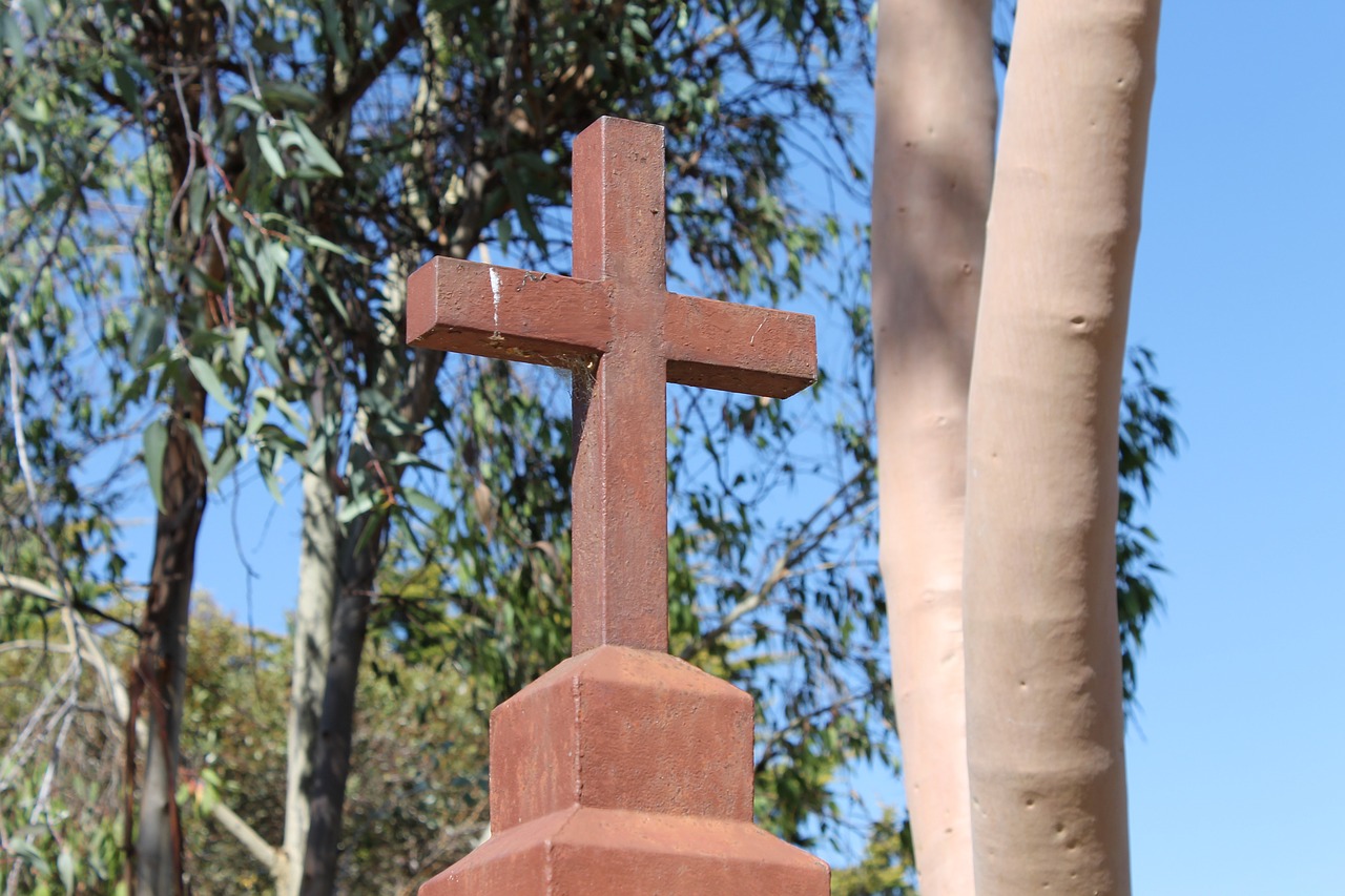 gumtrees church australia free photo