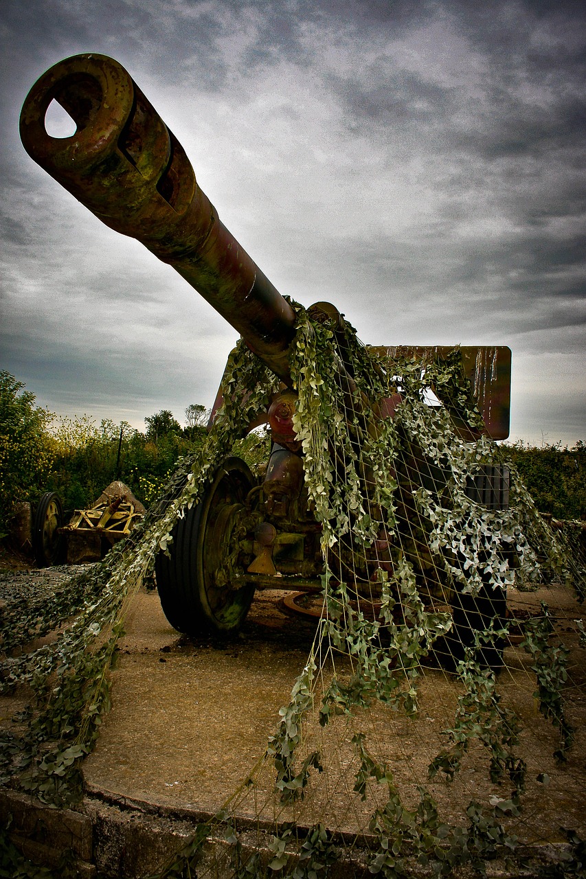 gun war normandy free photo