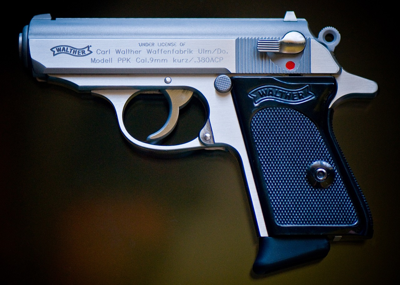 gun firearm pistol free photo