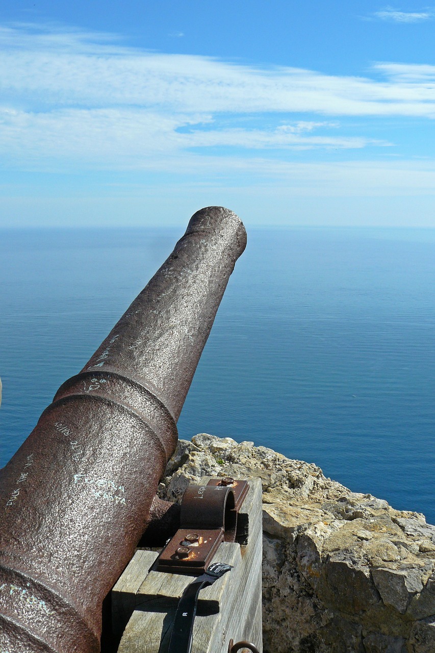 gun barrel of a gun bronze cannon free photo