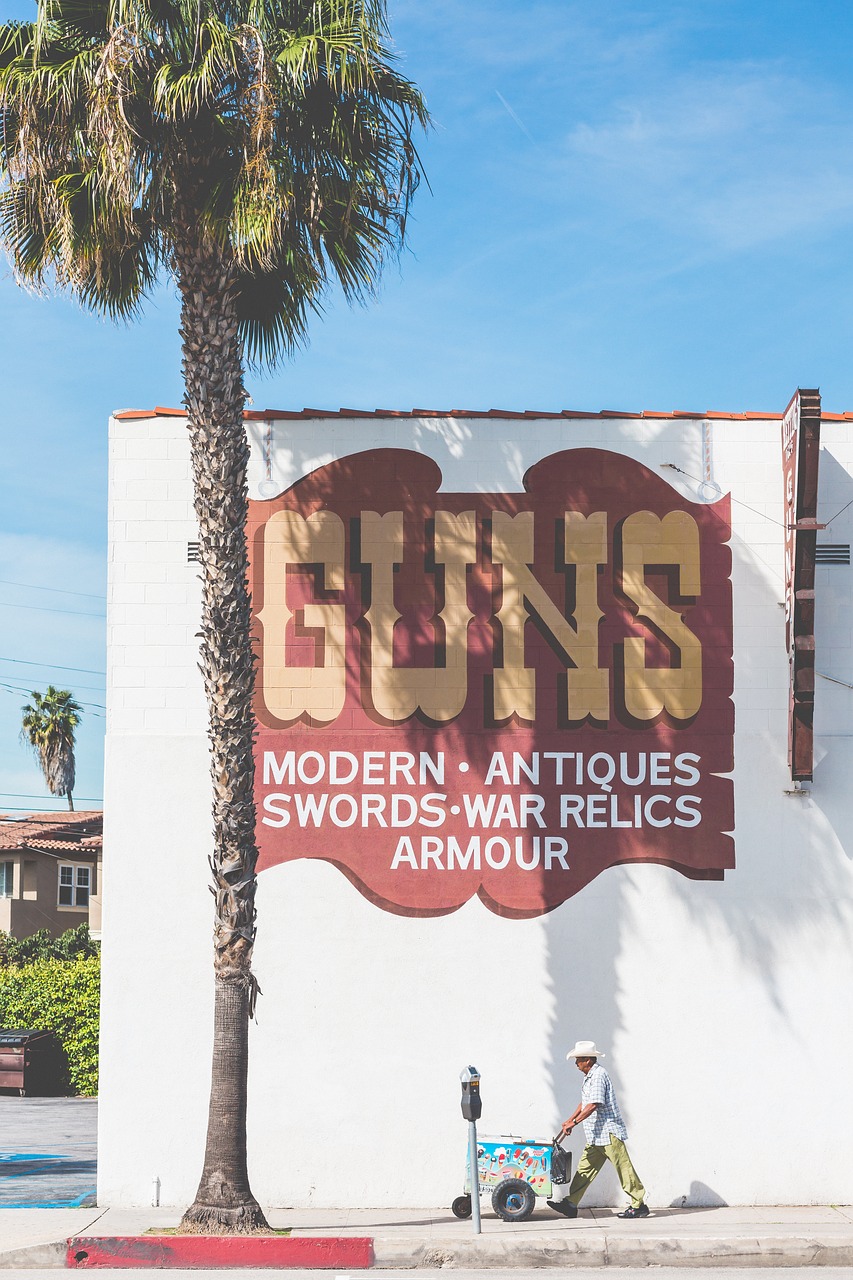 guns antiques pawn shop free photo