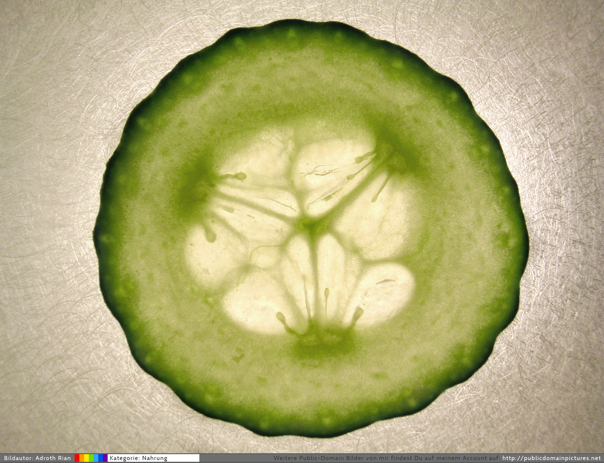 slice of cucumber cucumber food free photo