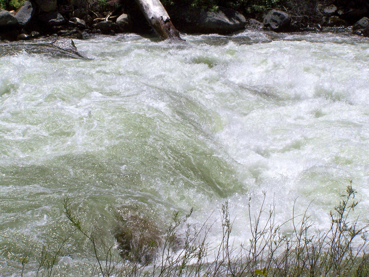 gushing water river stream free photo