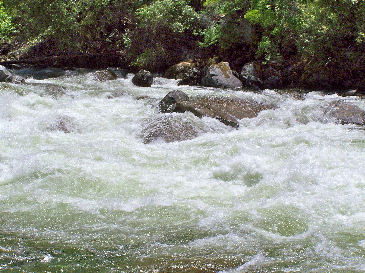 gushing water river stream free photo