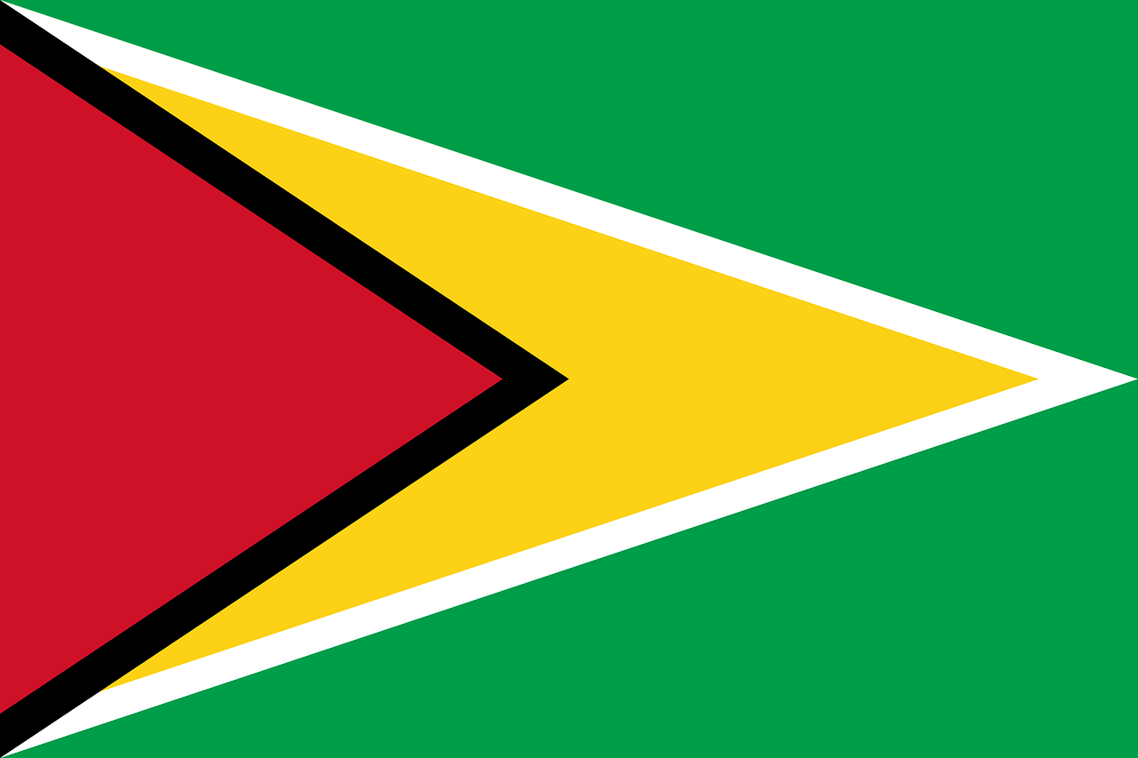 guyana flag national flag free photo