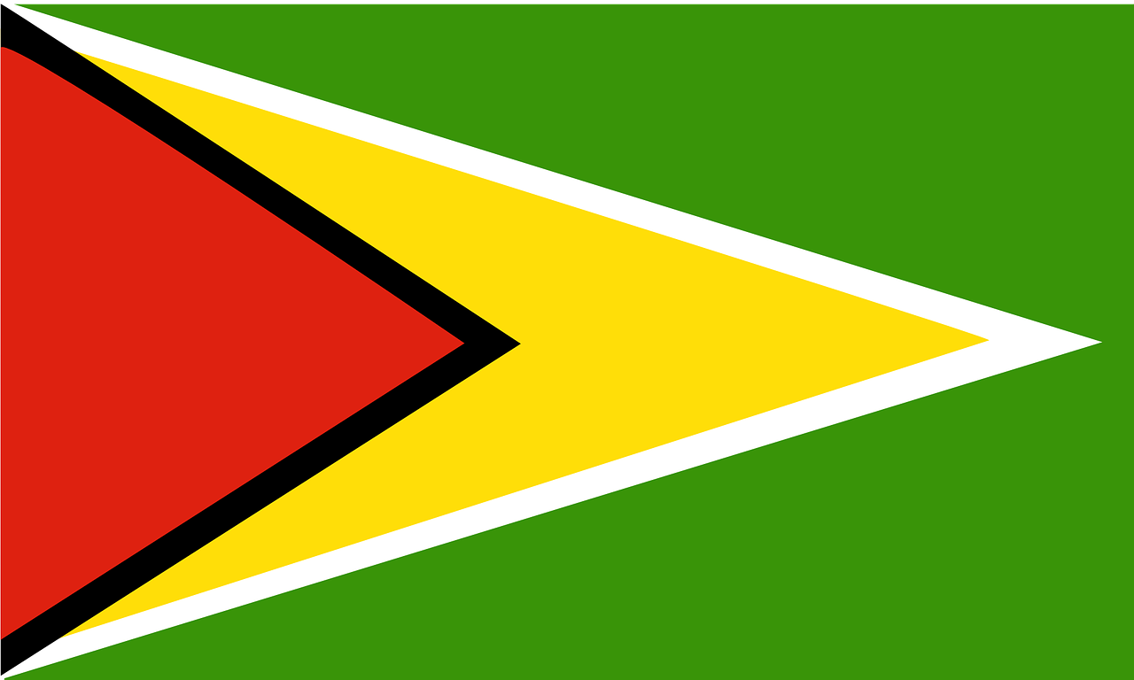 guyana flag country free photo