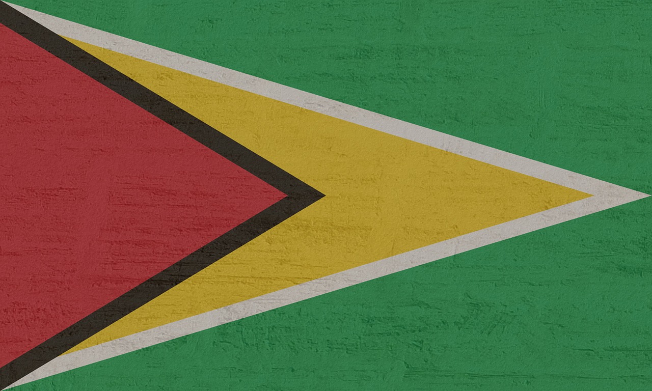 guyana flag south america free photo