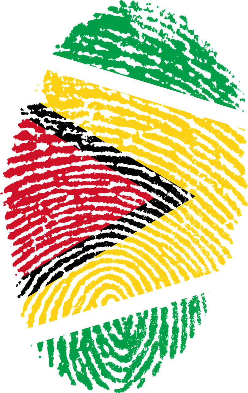 guyana flag fingerprint free photo