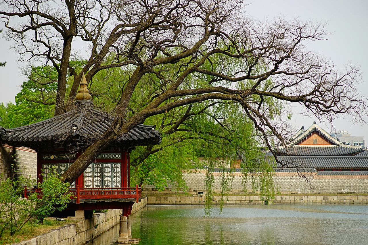 gyeongbok palace nature landscape free photo