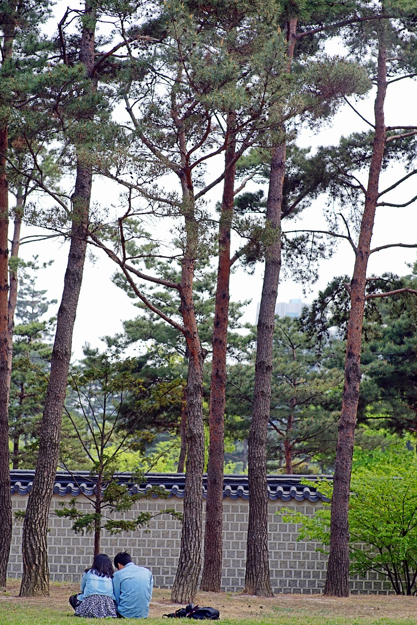 gyeongbok palace lovers nature free photo