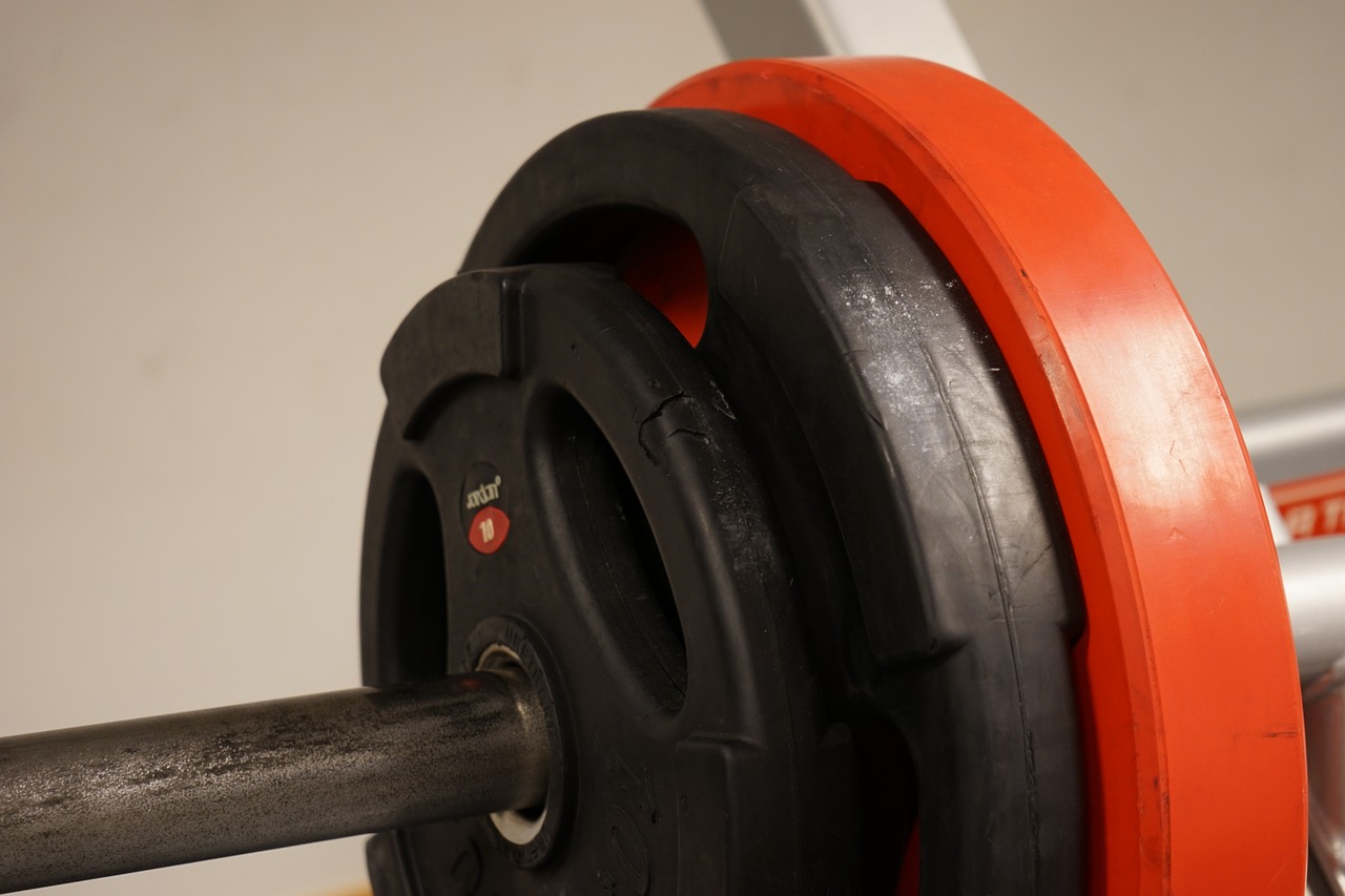 weights red dumbbells free photo