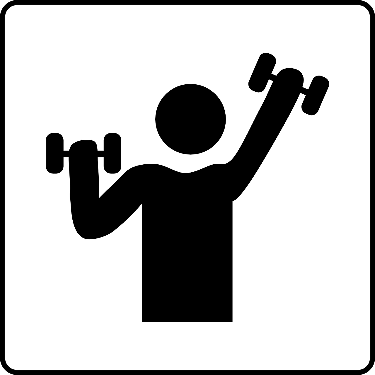 gym weights sports free photo
