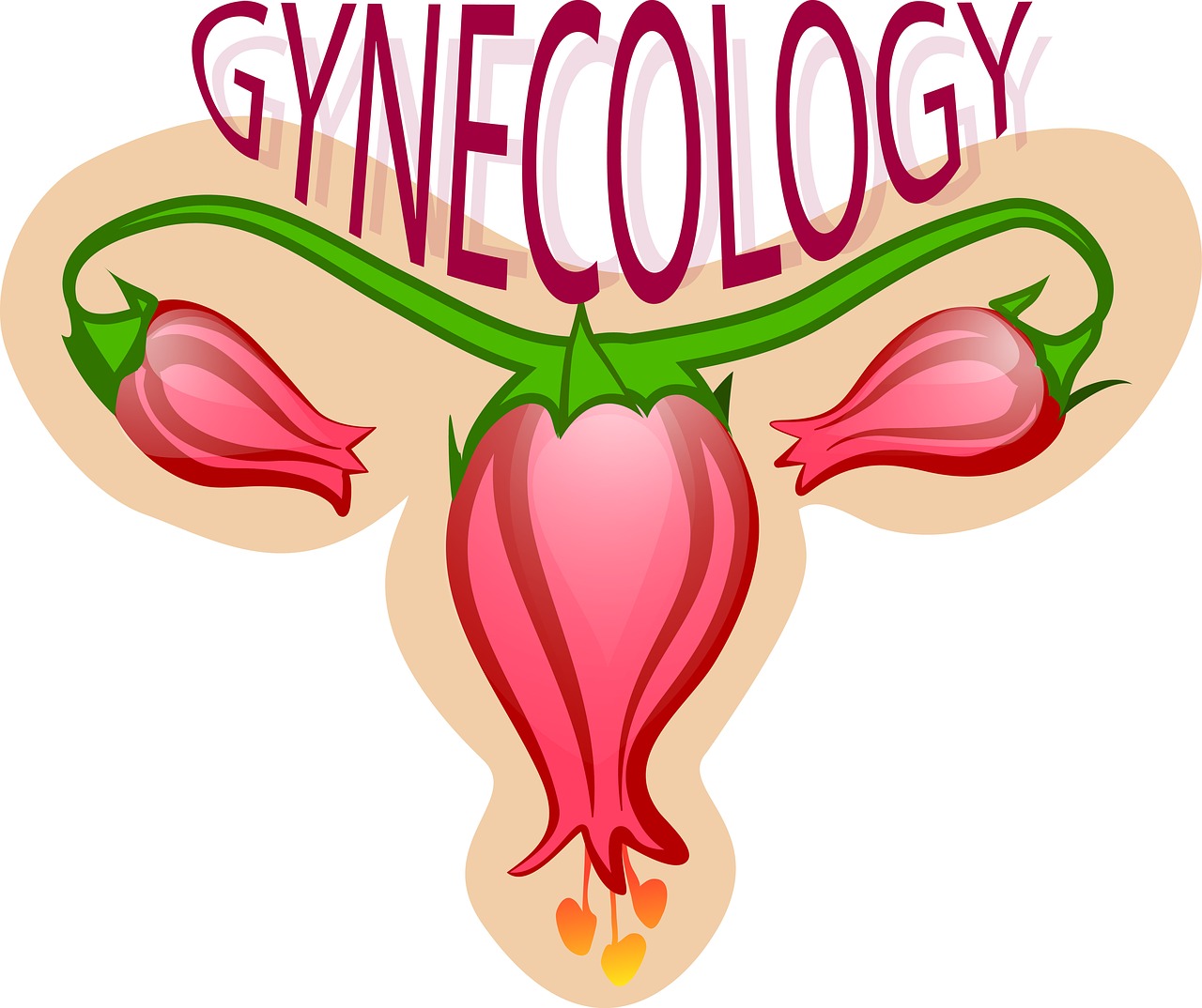 gynecology flower uterus free photo