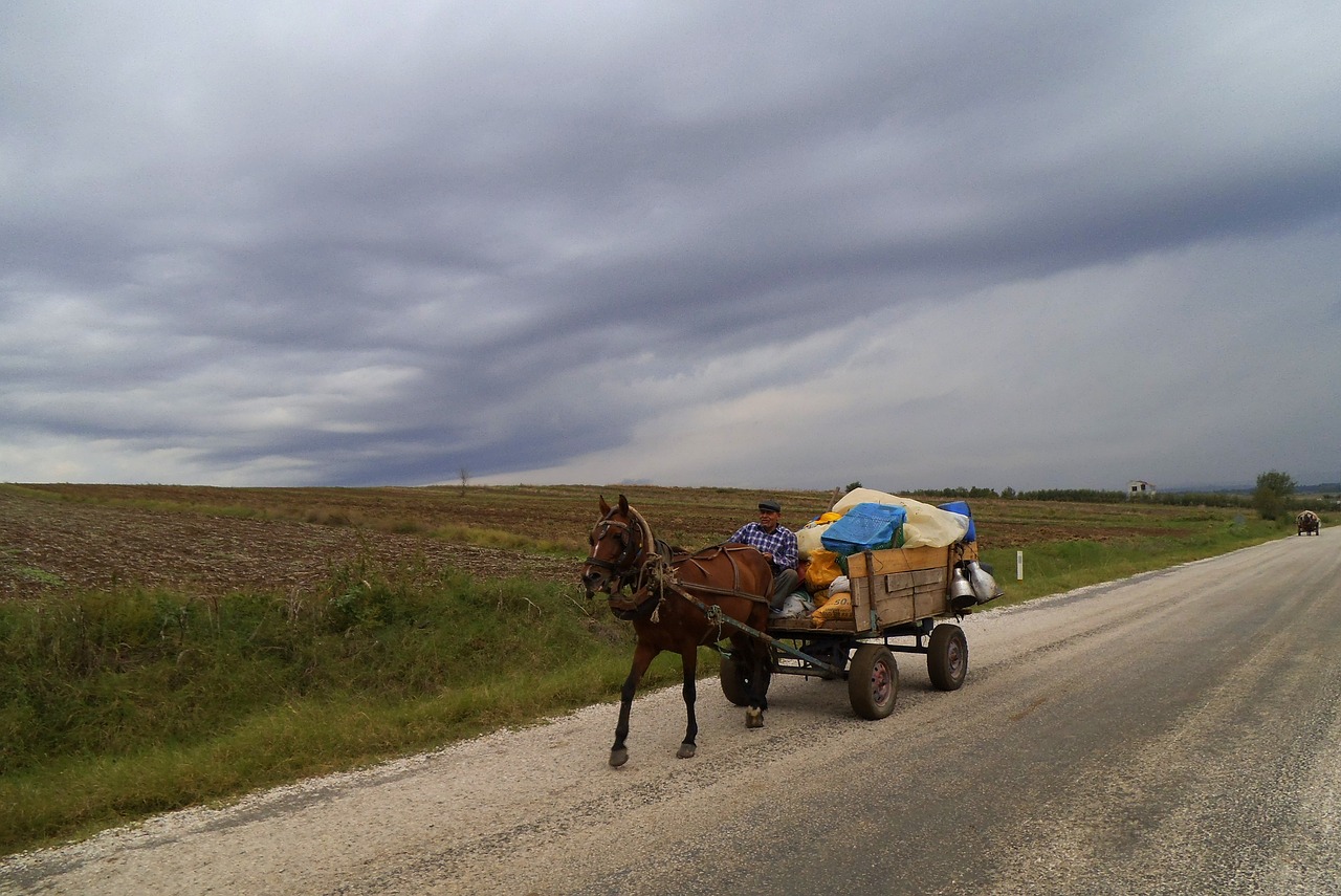 gypsy  turkey  horse carts free photo