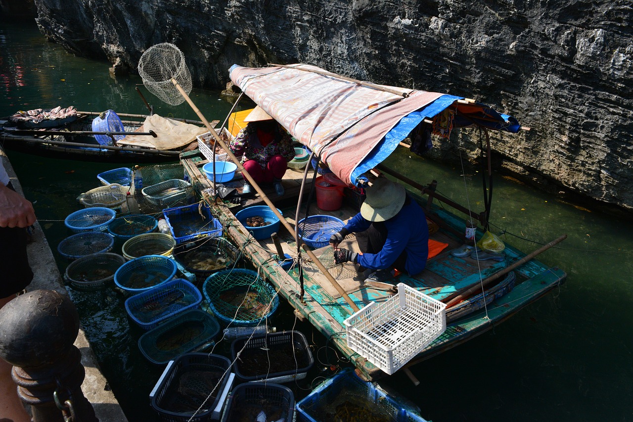 ha long bay vietnam travel free photo