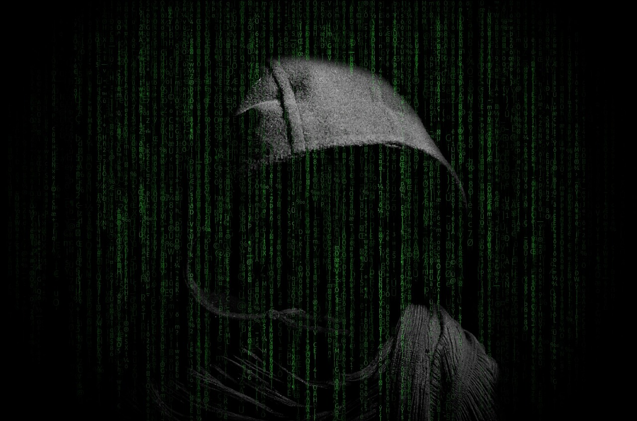 hacker  hacking  computer free photo