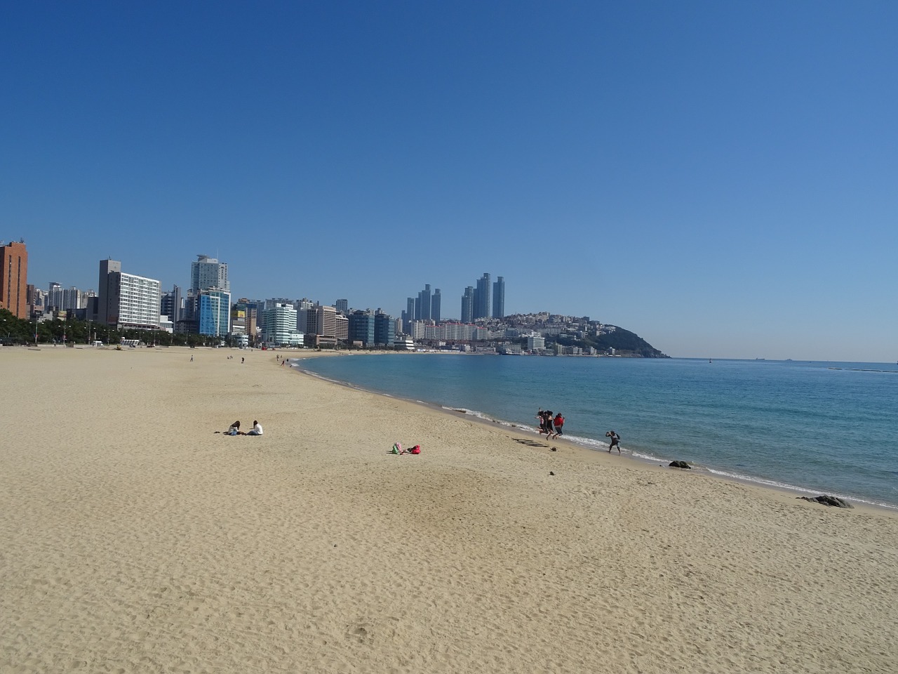 haeundae beach bathing beach busan free photo