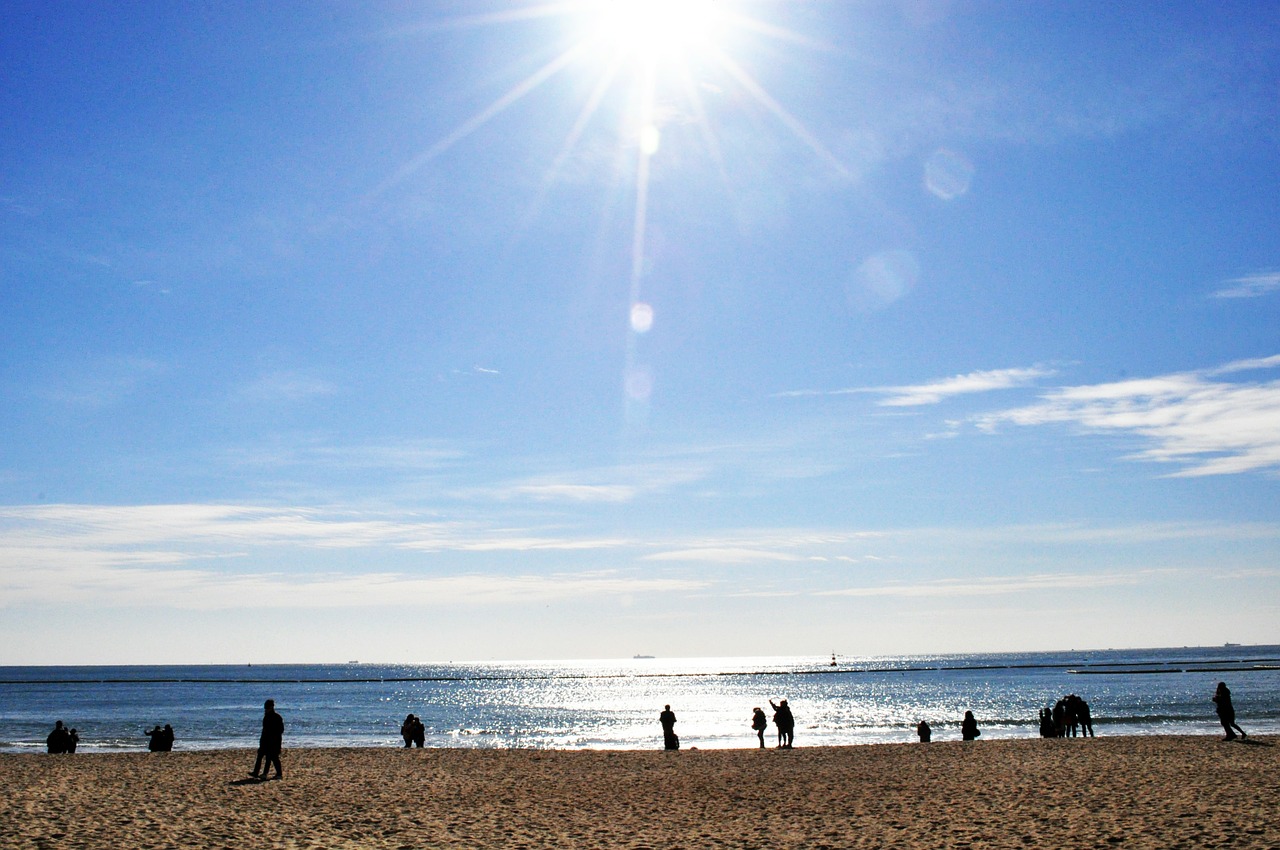 haeundae beach sunshine sandy free photo