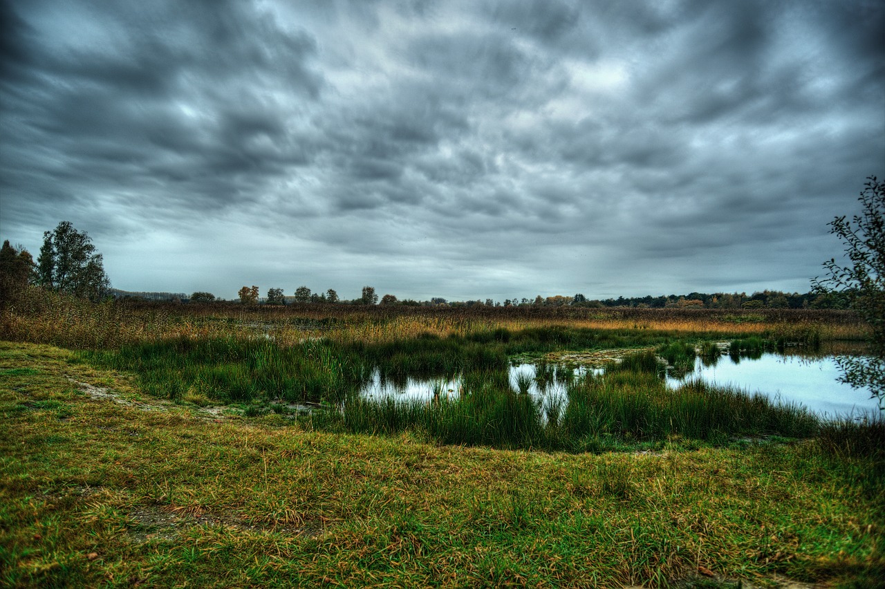 hageven  landscape  clouds free photo