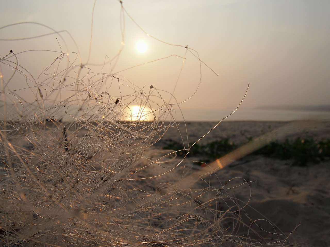 hai bian fishing nets the evening sun free photo