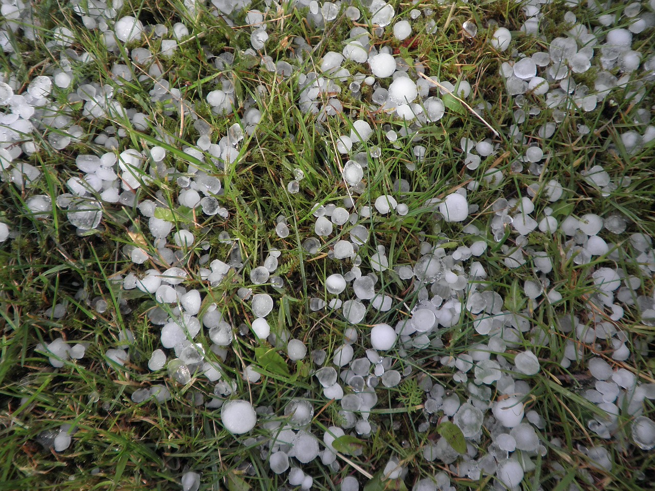 hail hailstones weather free photo