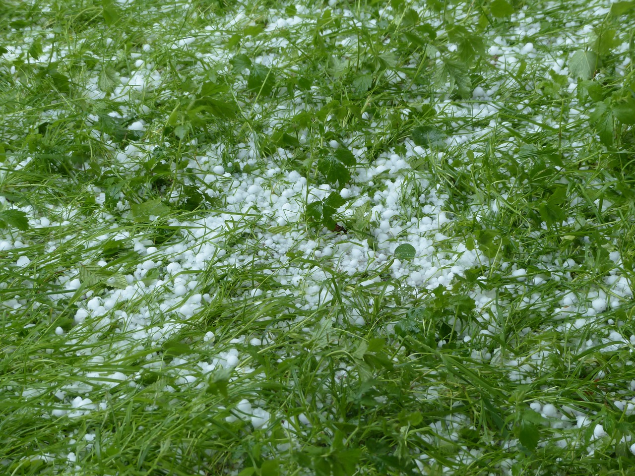 hailstones hail storm free photo