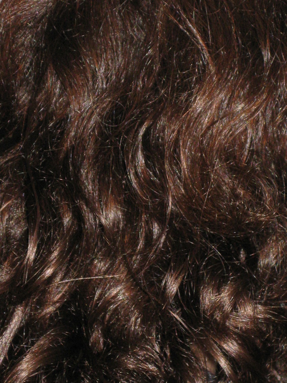 hair dark brunette free photo