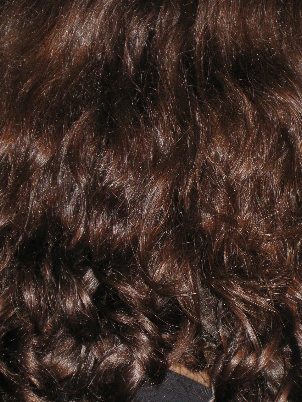 hair dark brunette free photo