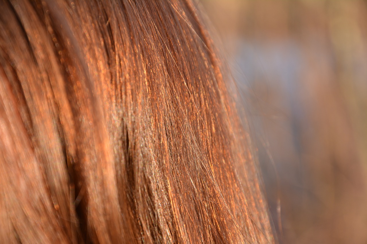 hair  red  detail free photo