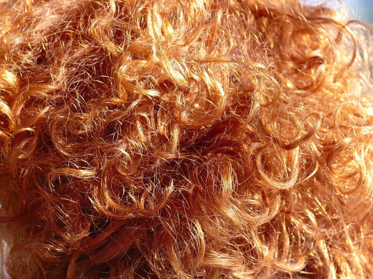 hair fuchs red head free photo