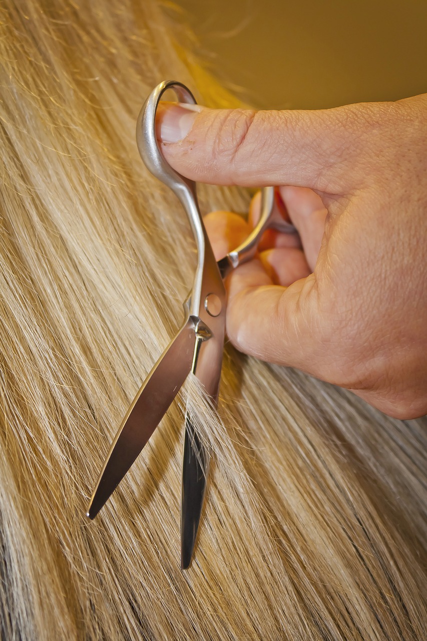 hair salon scissors style free photo