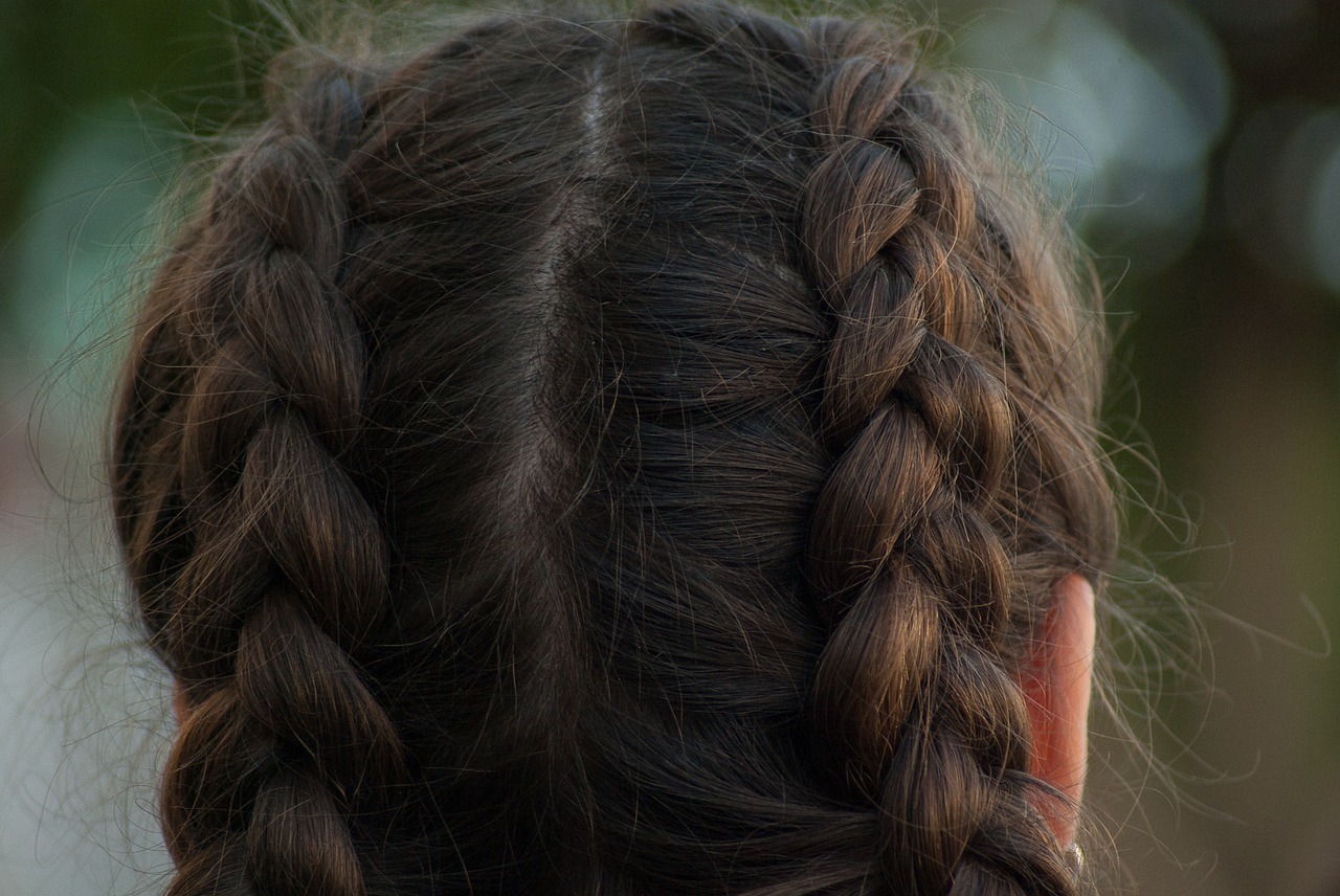 hairstyle braids mats free photo