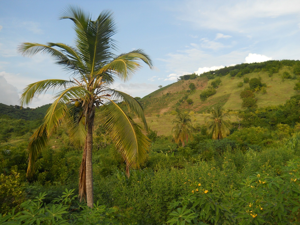 haiti landscape mountains free photo