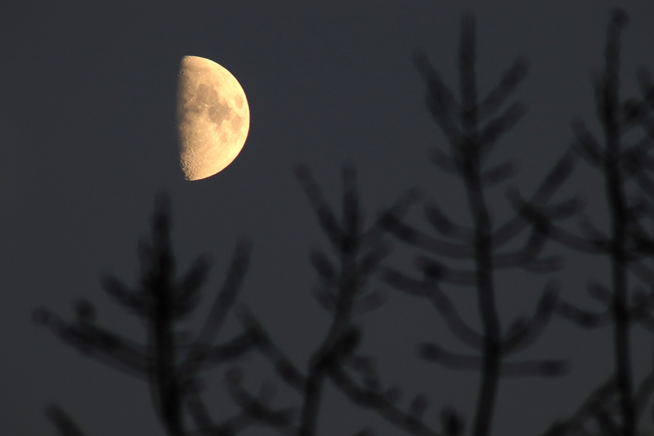 half  moon  night free photo