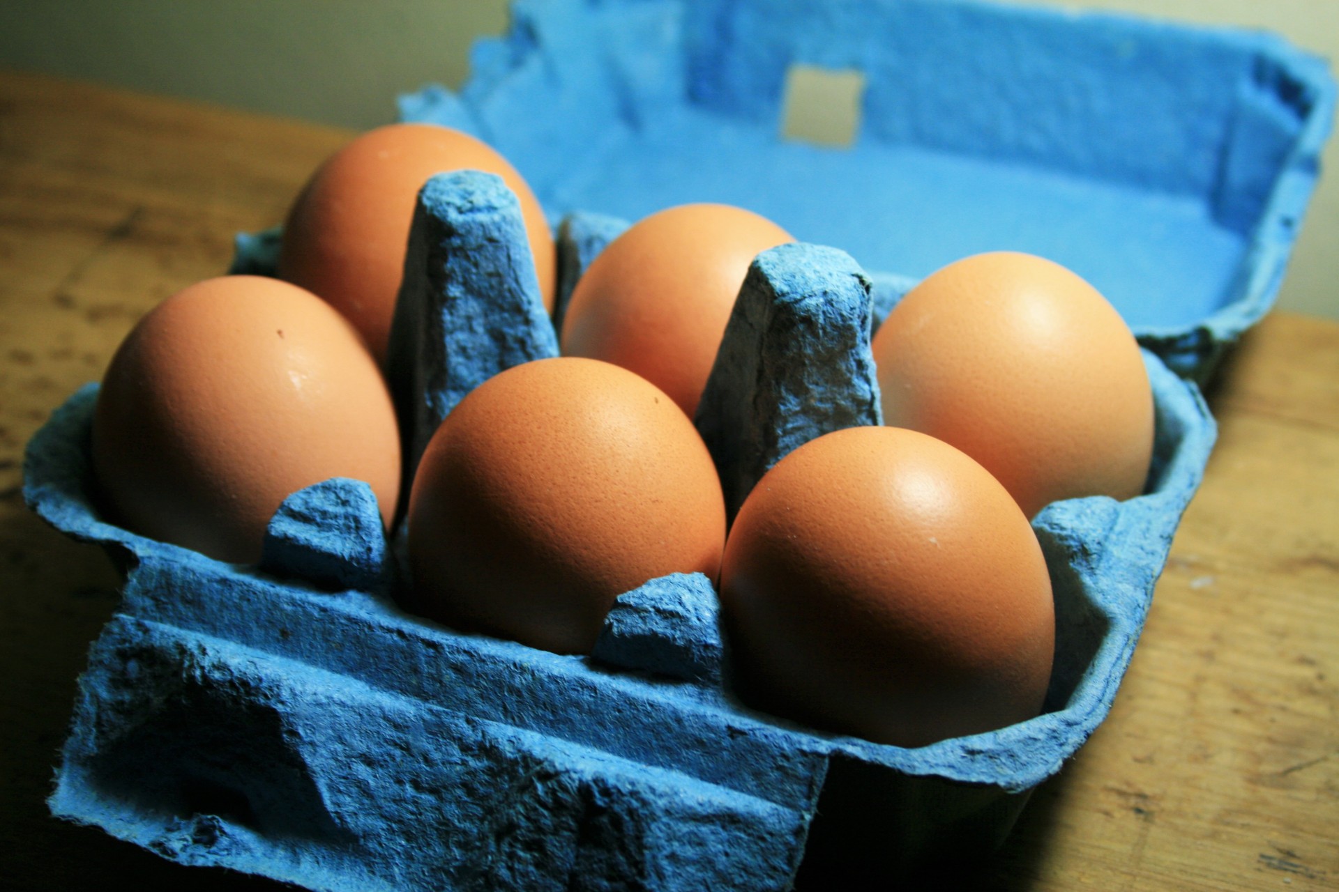 eggs six brown free photo