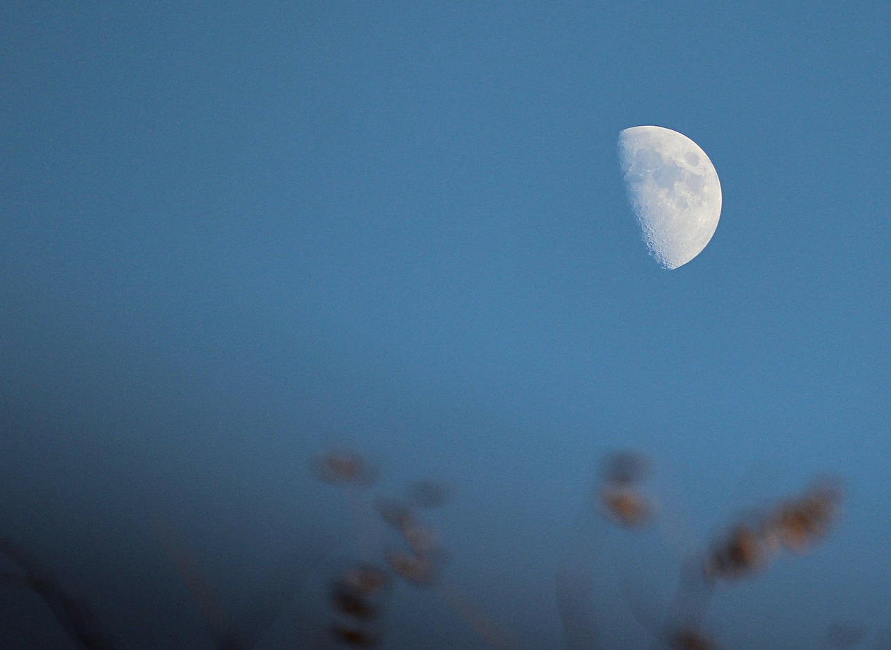 half moon lunar luna free photo