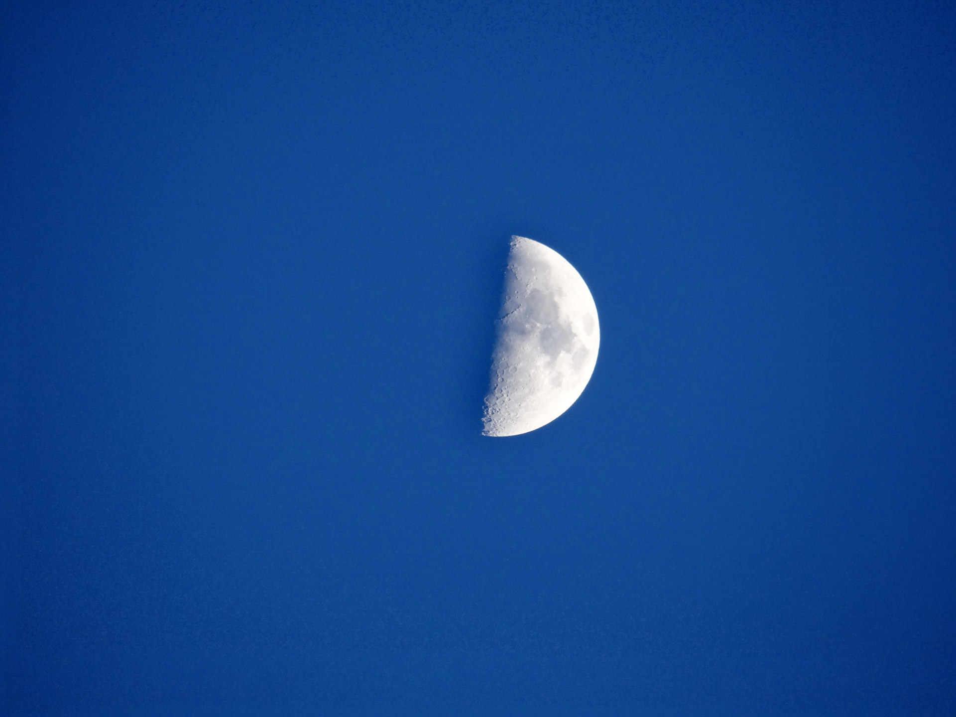 half moon night sky free photo