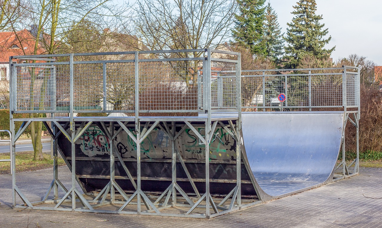 halfpipe skating leisure free photo