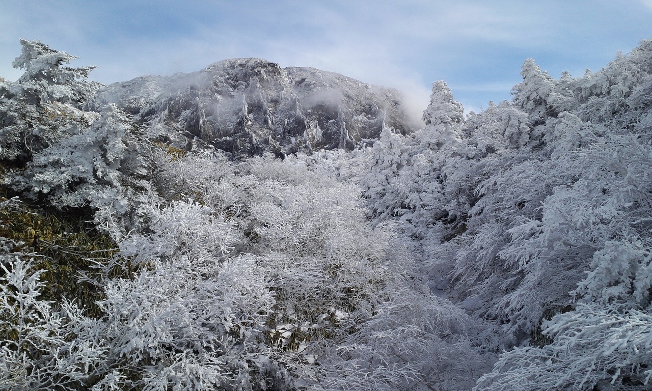 halla mountain and snow nambyeok nambyeok snow-covered mt snow feast of mt free photo