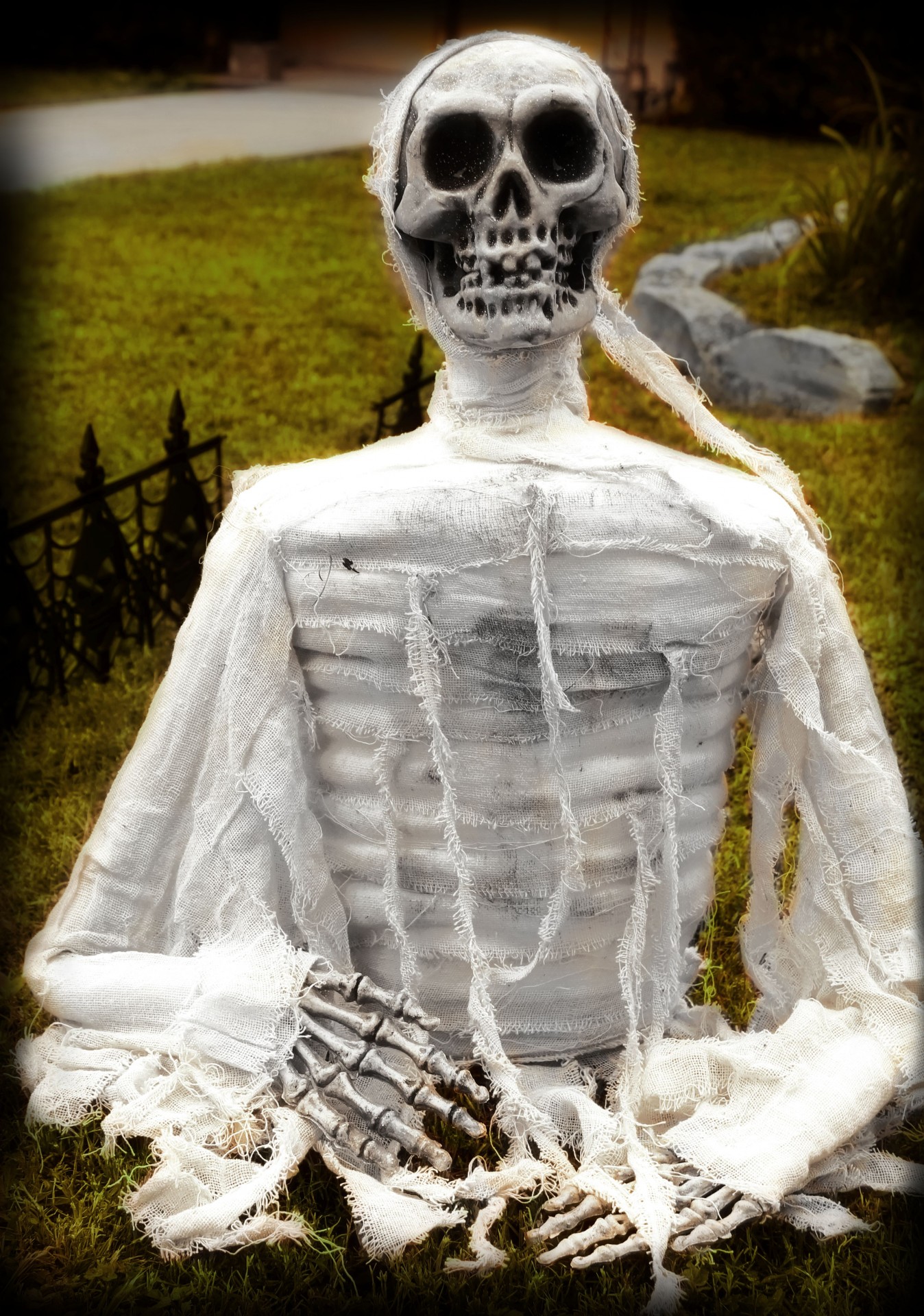 halloween skeleton skull free photo