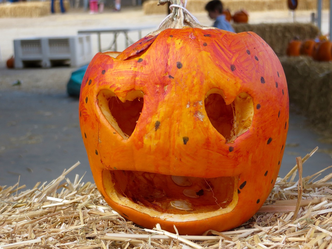 halloween pumpkin heart free photo