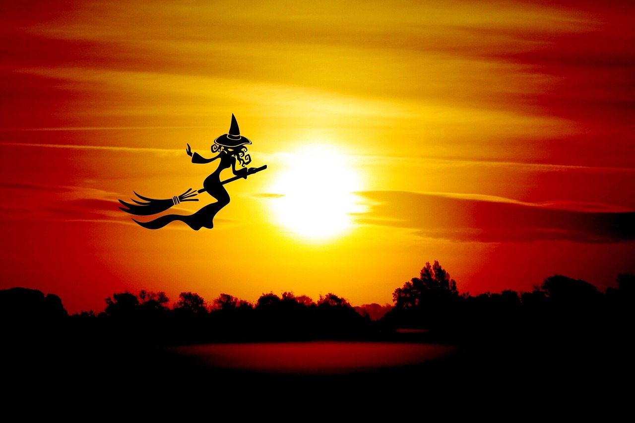halloween the witch broom free photo