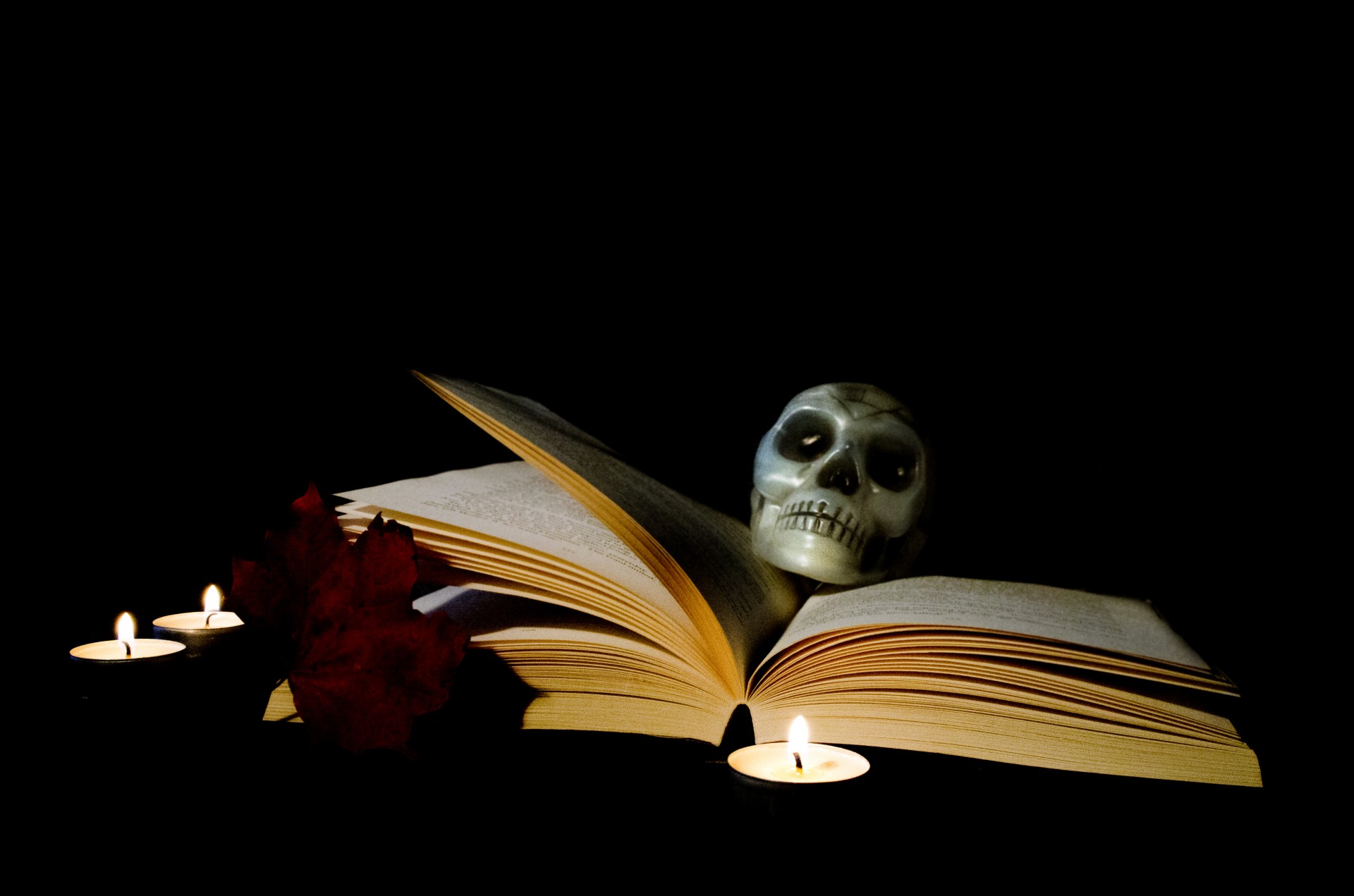 halloween book candle free photo