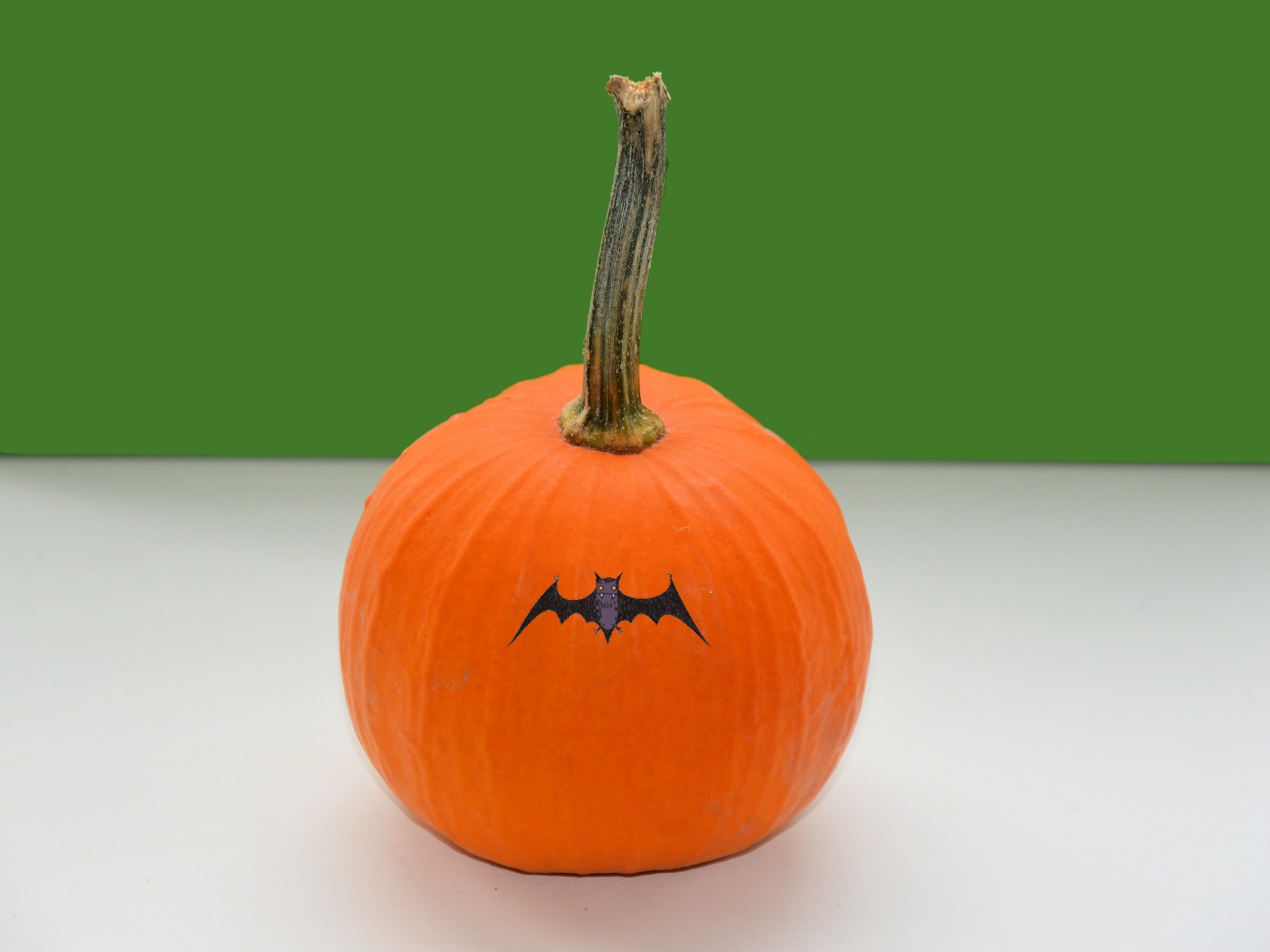 halloween pumpkin bat free photo