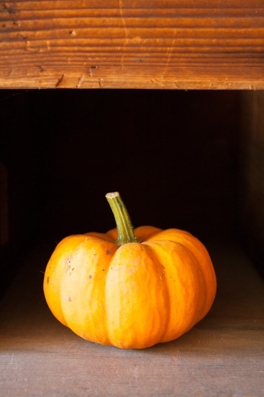 halloween pumpkin autumn free photo