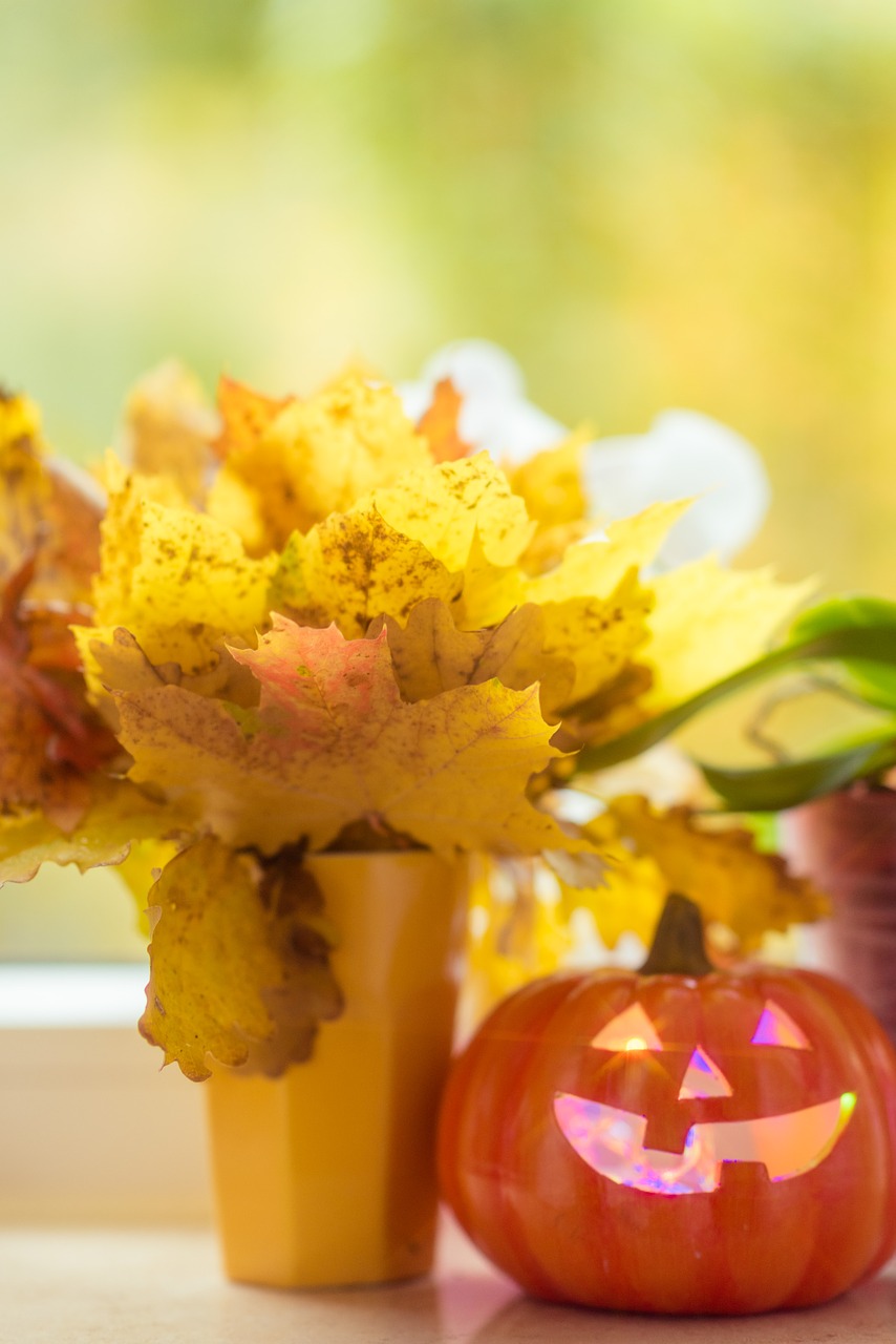 halloween pumpkin leaves free photo