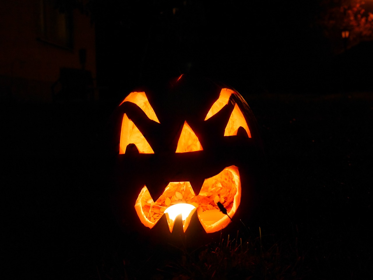 halloween pumpkin faces free photo