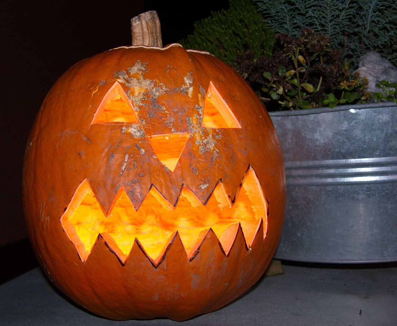 halloween pumpkin faces free photo