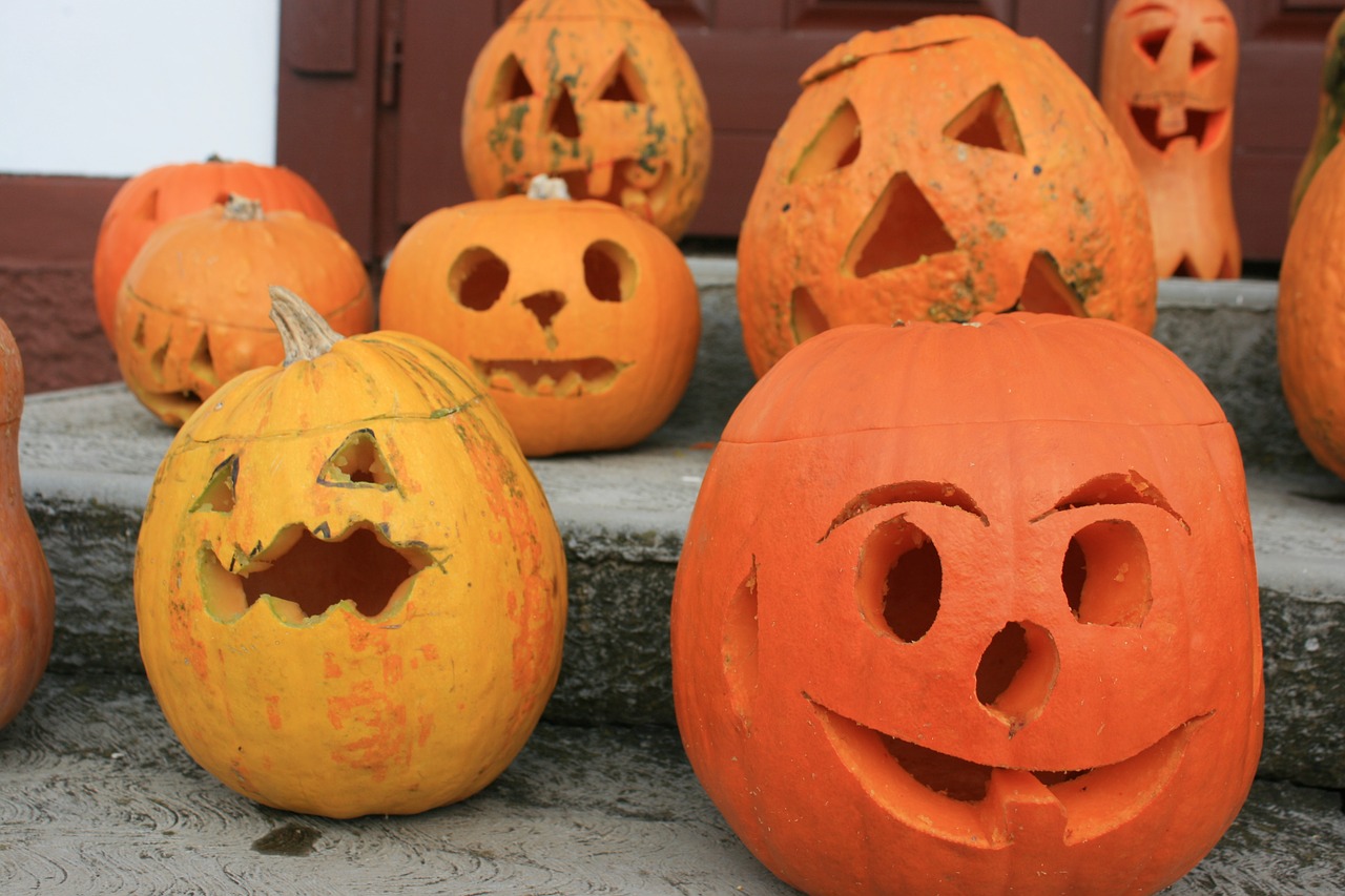halloween pumpkin carvings free photo